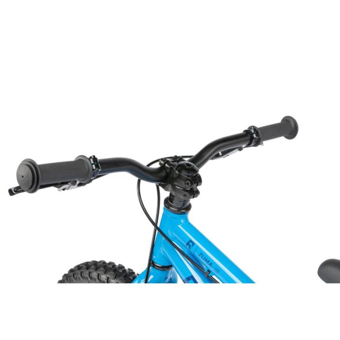 Radio Zuma Bike 16", Aluminum The LBS