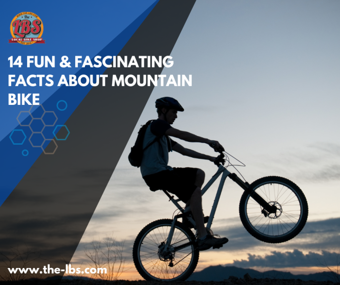 14FunFascinatingMountainBikingFacts