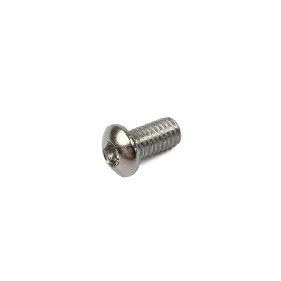 M6 X 12 Dome Head Screw Stainless Steel M612DSS