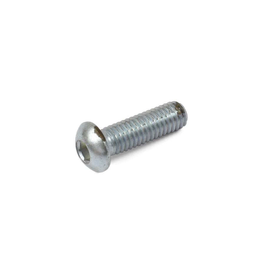 M6 X 20 Dome Head Screw Stainless Steel M620DSS