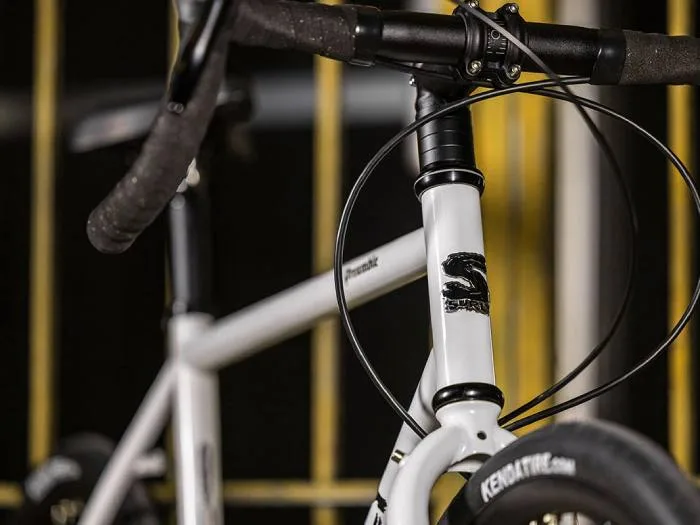 surly bike