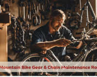 Easy mountain bike gear & chain maintenance routines